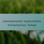 Lainasopimukset: Sopimusehdot, Ymmärtäminen, Tärkeys