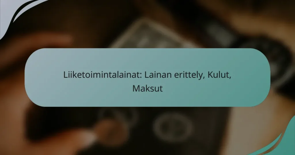 Liiketoimintalainat: Lainan erittely, Kulut, Maksut