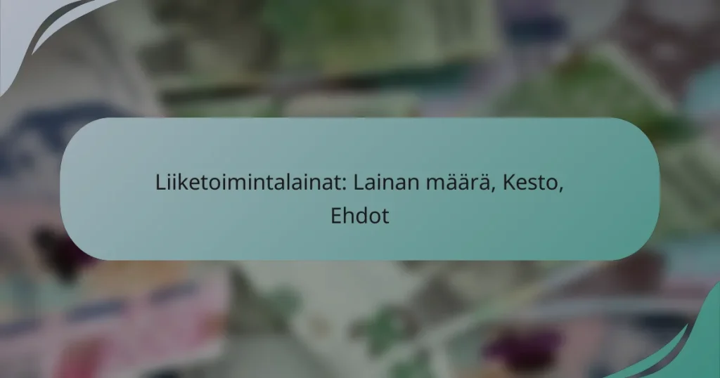 Liiketoimintalainat: Lainan määrä, Kesto, Ehdot