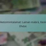 Liiketoimintalainat: Lainan määrä, Kesto, Ehdot