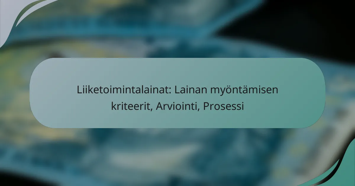 Liiketoimintalainat: Lainan myöntämisen kriteerit, Arviointi, Prosessi