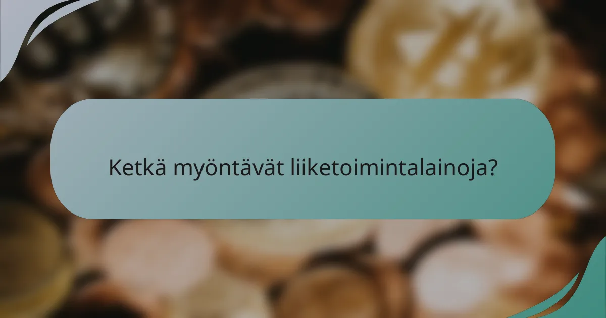 Ketkä myöntävät liiketoimintalainoja?